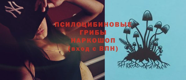молекула духа Аркадак