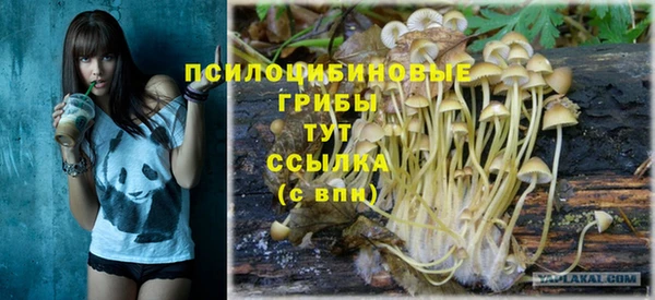 первитин Балахна