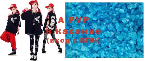 гидра Богданович
