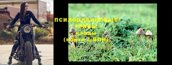 тгк Беломорск