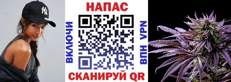 купить закладку Кинель Каннабис марихуана